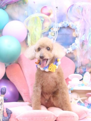 20240807こたろうくん